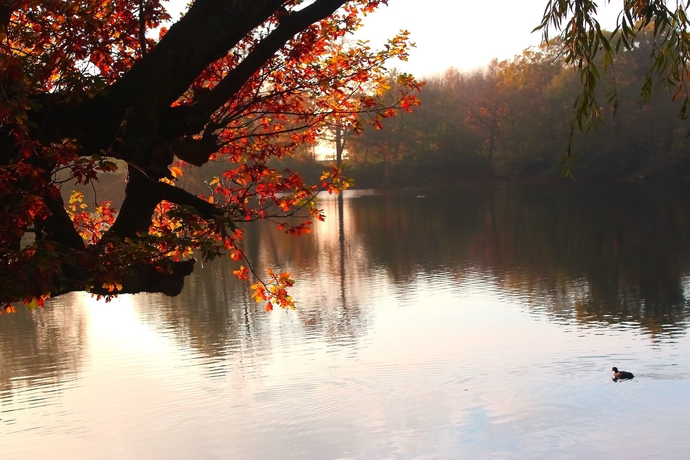 Imagen de los exteriores del Hotel The Inn On The Lake. Foto 9