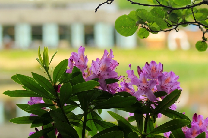 Imagen de los exteriores del Hotel The Inn On The Lake. Foto 16