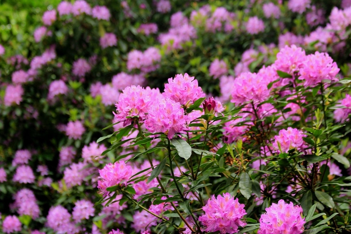 Imagen de los exteriores del Hotel The Inn On The Lake. Foto 17