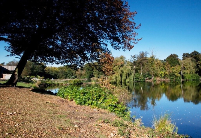 Imagen de los exteriores del Hotel The Inn On The Lake, Gravesend. Foto 14