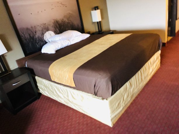 Imagen de la habitación del Hotel The Inn and Suites SW Omaha. Foto 8