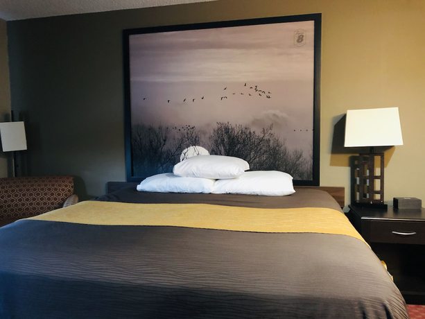 Imagen de la habitación del Hotel The Inn and Suites SW Omaha. Foto 11