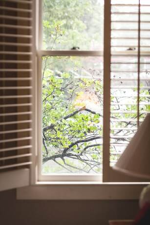 Imagen general del Hotel The Inn at Camden Place. Foto 2