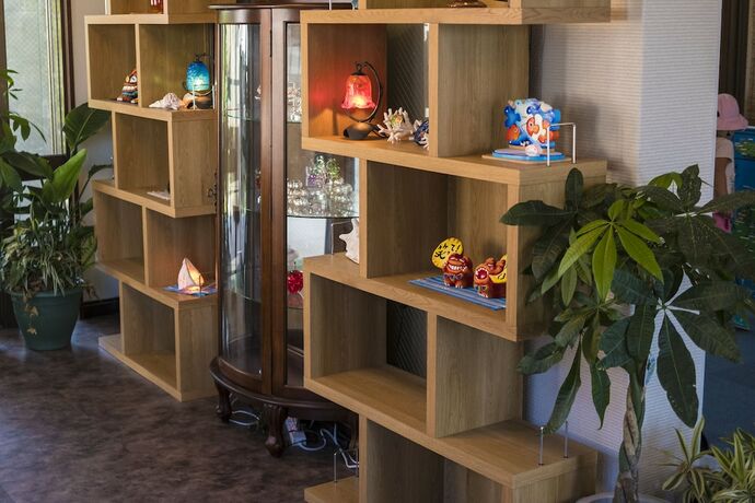 Imagen general del Hotel The Iriomote Island Hotel HOSHITATE. Foto 7