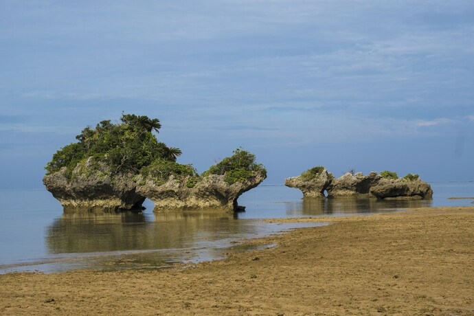 Imagen de los exteriores del Hotel The Iriomote Island Hotel HOSHITATE. Foto 21