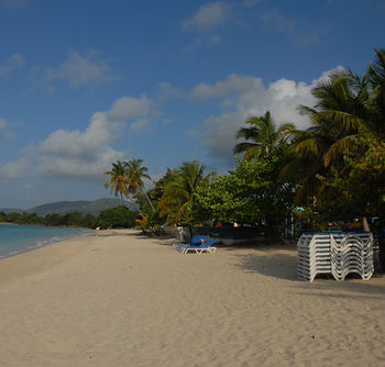 Imagen general del Hotel The Island Beachcomber. Foto 1