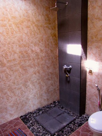 Imagen de la habitación del Hotel The Janan Villa. Foto 9
