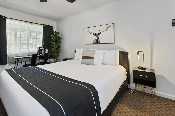 Imagen general del Hotel The Jeffrey. Foto 3