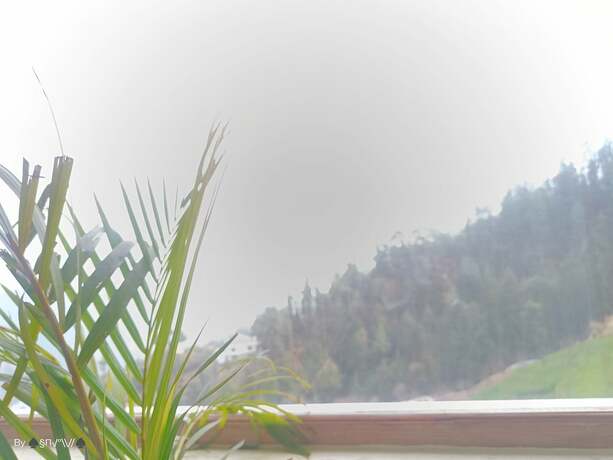 Imagen general del Hotel The Jungle Mountain Retreat. Foto 2