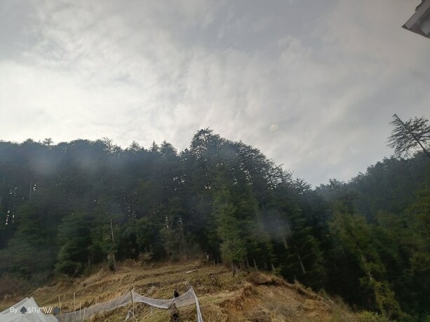 Imagen general del Hotel The Jungle Mountain Retreat. Foto 6