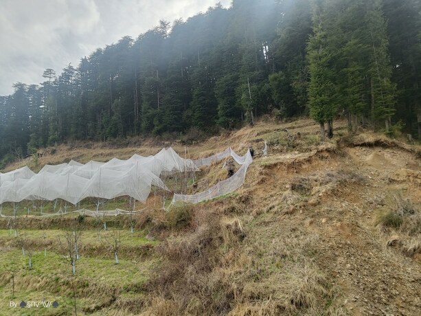 Imagen general del Hotel The Jungle Mountain Retreat. Foto 9