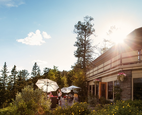 Imagen del bar/restaurante del Hotel The Juniper. Foto 4