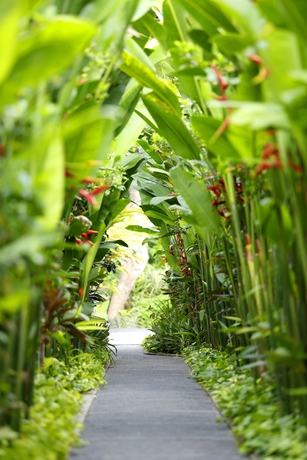 Imagen de los exteriores del Hotel The Kasih Villas and Spa. Foto 11