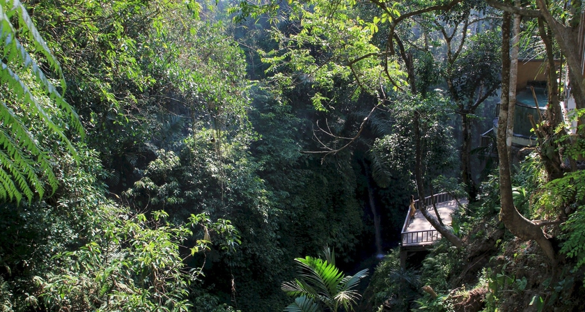 Imagen de los exteriores del Hotel The Kayon Resort - Chse Certified. Foto 11