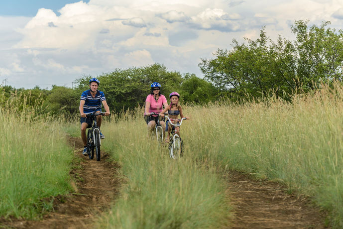 Imagen de la habitación del Hotel The Kingdom Resort. Foto 4