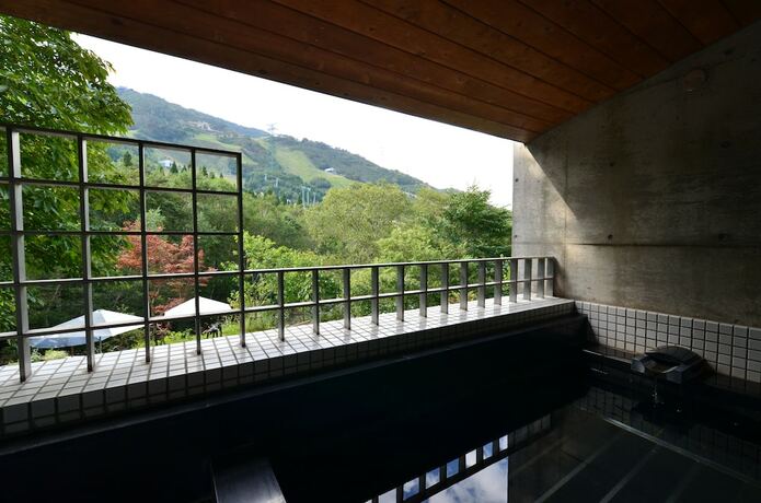 Imagen de la piscina del Hotel The Kinta Naeba. Foto 40