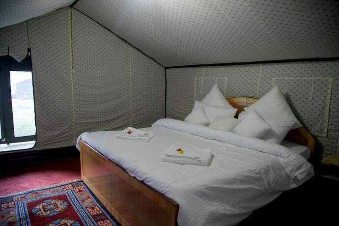 Imagen de la habitación del Hotel The Kora Pangong. Foto 17