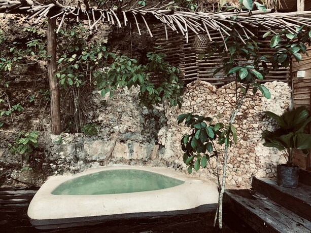 Imagen de la habitación del Hotel The Korowai. Foto 36