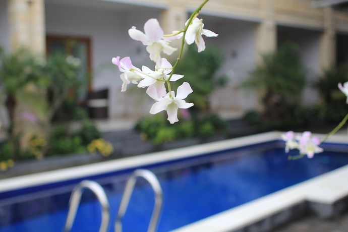 Imagen de la piscina del Hotel The Kutaya. Foto 17