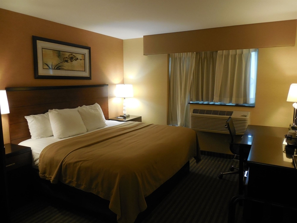 Imagen de la habitación del Hotel The LOOK Red Hook. Foto 11