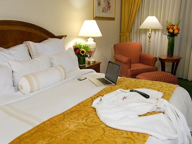 Imagen general del Hotel The La Grand Downtown. Foto 7