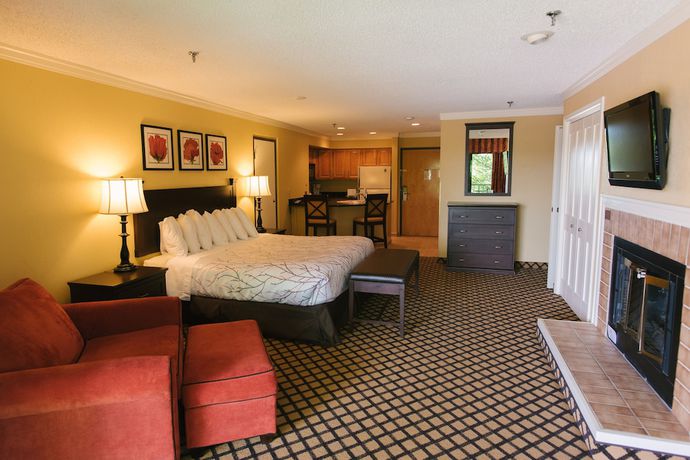 Imagen de la habitación del Hotel The Lakeview, Shanty Creek Resort. Foto 9