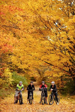 Imagen general del Hotel The Lakeview, Shanty Creek Resort. Foto 7