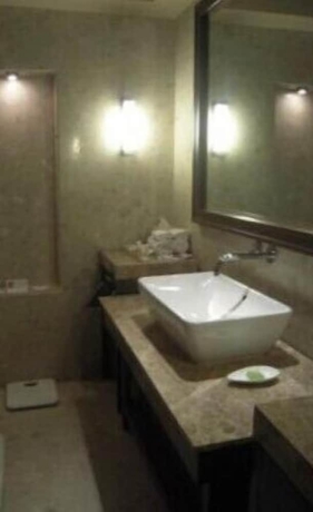 Imagen de la habitación del Hotel The Lalit Grand Palace Srinagar. Foto 11