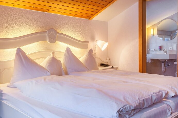 Imagen general del Hotel The Larix, Saas-Fee. Foto 9