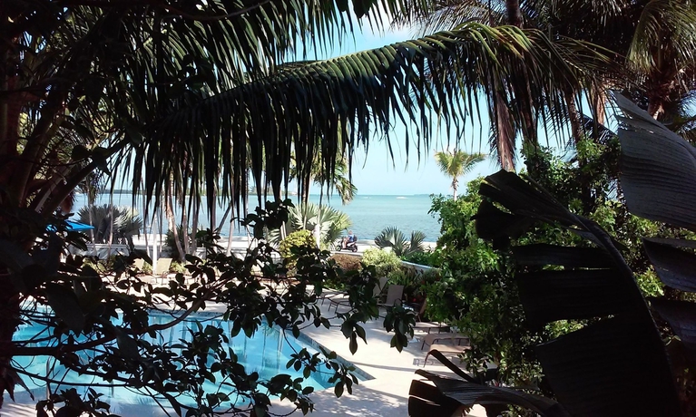 Imagen de la habitación del Hotel The Laureate Key West. Foto 8