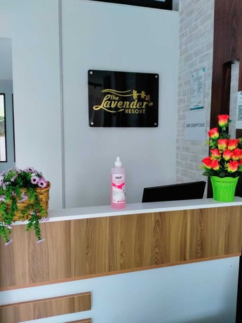 Imagen de los interiores del Hotel The Lavender Resort. Foto 14