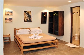 Imagen general del Hotel The Lazy Dog Bed and Breakfast. Foto 2