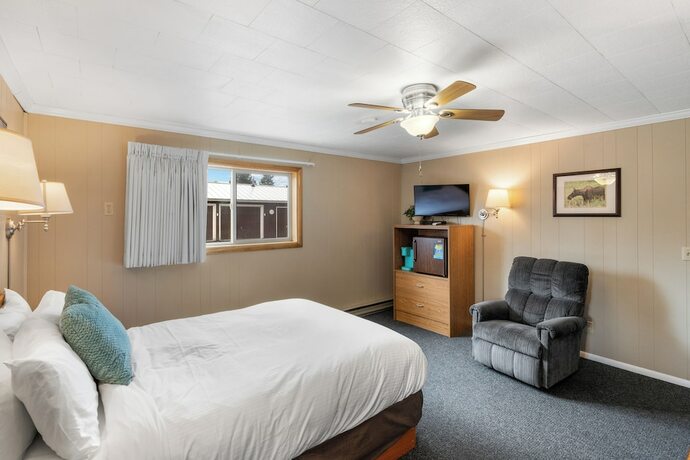 Imagen de la habitación del Hotel The Lazy Duck Inn. Foto 15