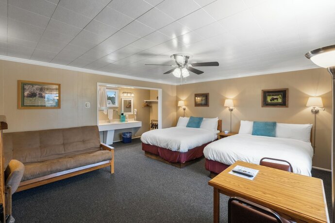Imagen de la habitación del Hotel The Lazy Duck Inn. Foto 18