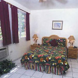 Imagen general del Hotel The Lazy Parrot Inn. Foto 4