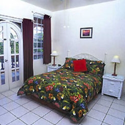 Imagen general del Hotel The Lazy Parrot Inn. Foto 6
