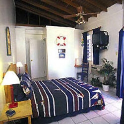 Imagen general del Hotel The Lazy Parrot Inn. Foto 7