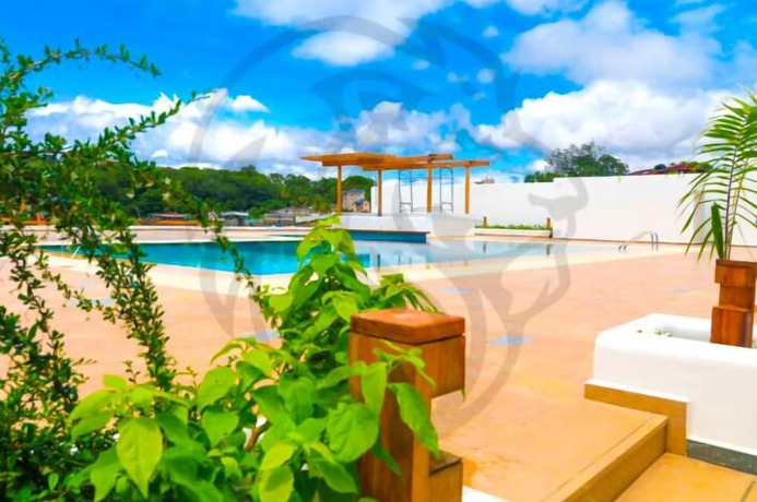 Imagen de la piscina del Hotel The Lead. Foto 14