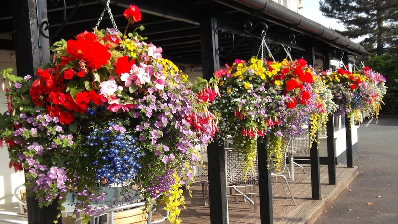 Imagen de los exteriores del Hotel The Leaking Well. Foto 14