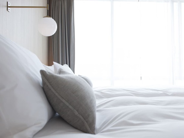 Imagen de la habitación del Hotel The Leben Osaka. Foto 16