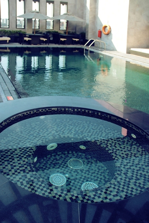 Imagen de la piscina del Hotel The Leela. Foto 12