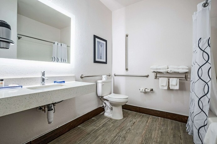 Imagen de la habitación del Hotel The Leo Collection Detroit, Ascend Collection. Foto 11