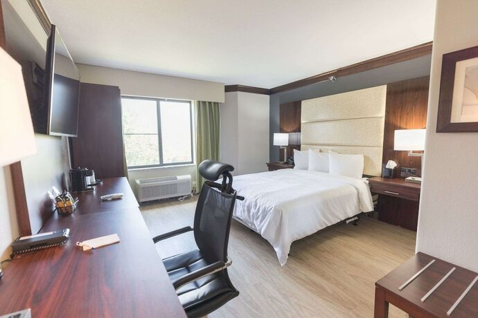 Imagen de la habitación del Hotel The Leo Collection Detroit, Ascend Collection. Foto 12