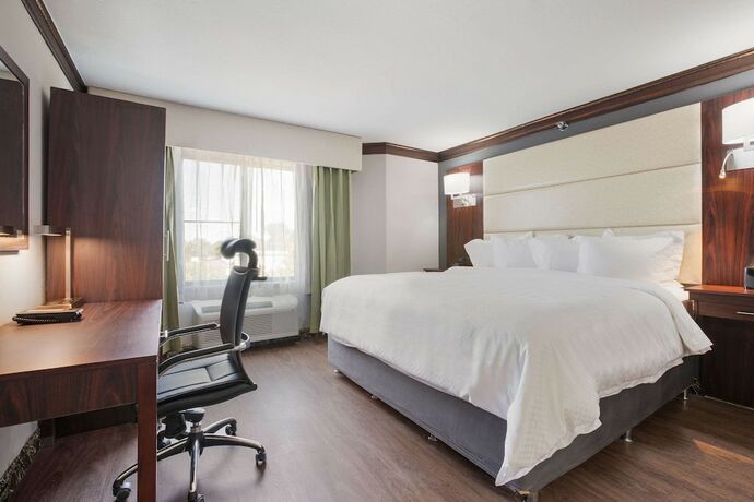 Imagen de la habitación del Hotel The Leo Collection Detroit, Ascend Collection. Foto 17