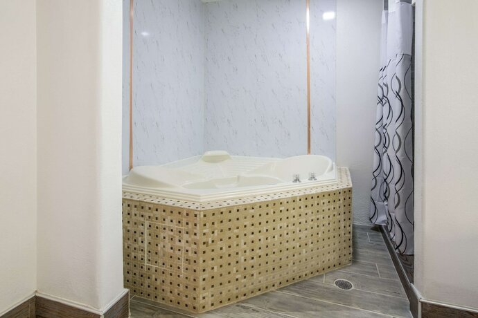 Imagen de la habitación del Hotel The Leo Collection Detroit, Ascend Collection. Foto 18