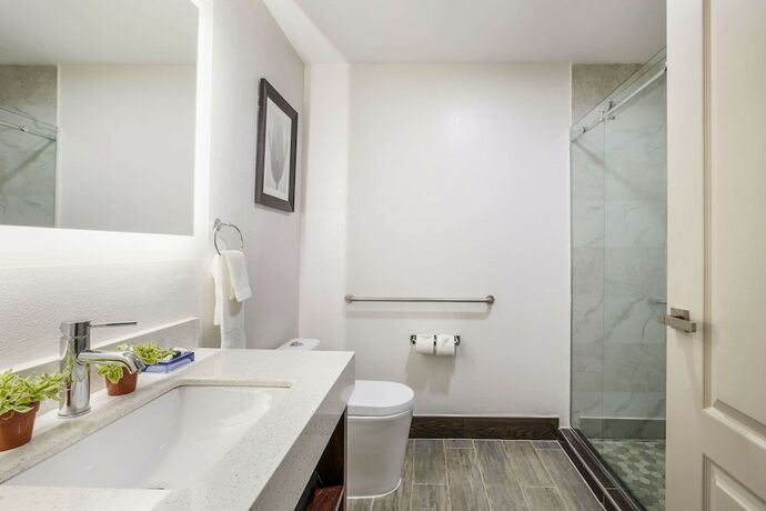 Imagen de la habitación del Hotel The Leo Collection Detroit, Ascend Collection. Foto 19