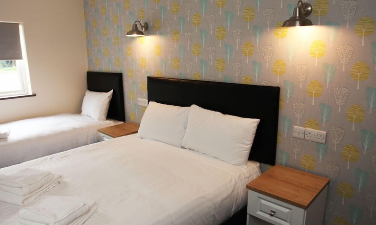Imagen de la habitación del Hotel The Liberal House. Foto 6