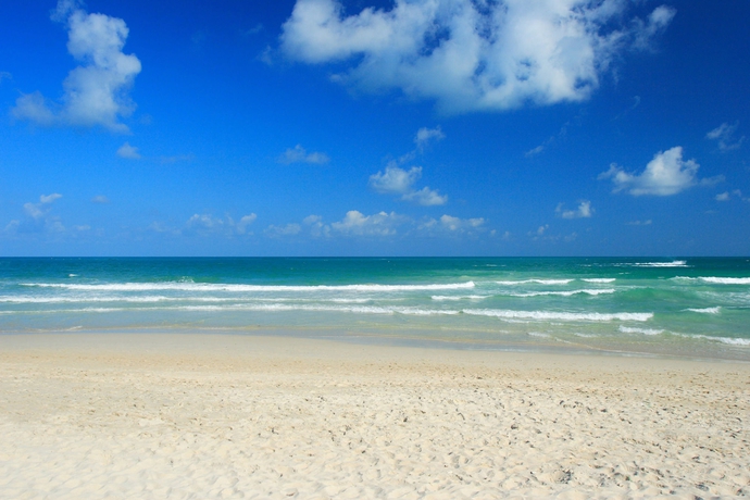 Imagen de los exteriores del Hotel The Library. Foto 12