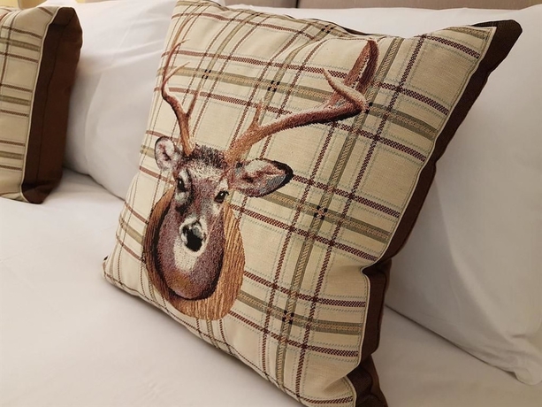 Imagen de la habitación del Hotel The Lion. Foto 13