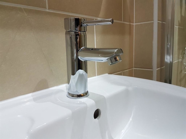 Imagen de la habitación del Hotel The Lion. Foto 17